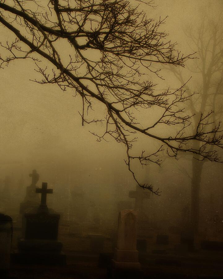 Foggy Graveyard Wallpaper