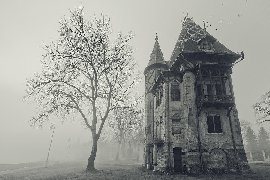 Architecture Photograph - Spooky House by Darko Sreckovic