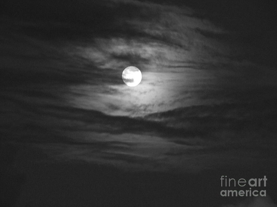 Spooky Moon 2 Photograph by Mary Deal