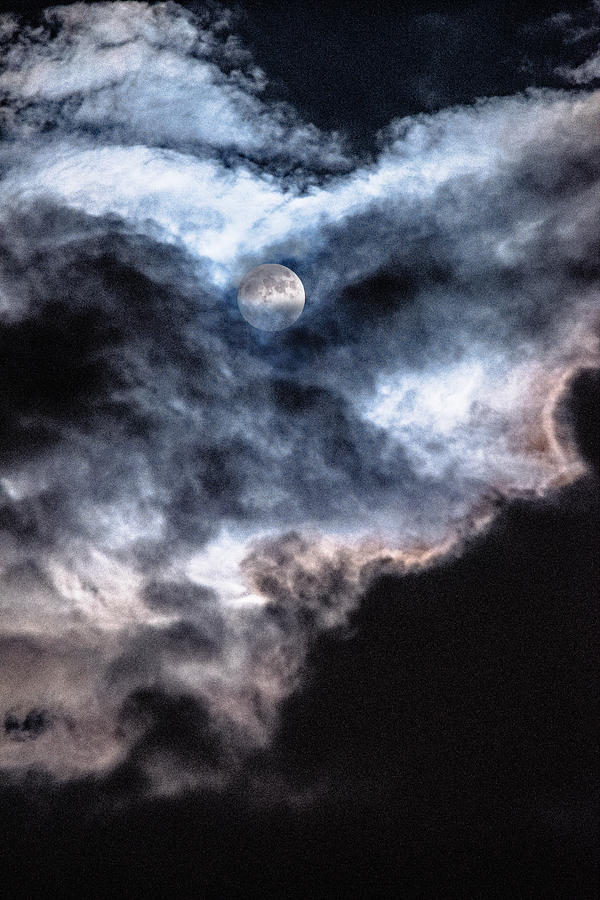 Spooky Moon Digital Art by Jennifer Bongiorno | Fine Art America