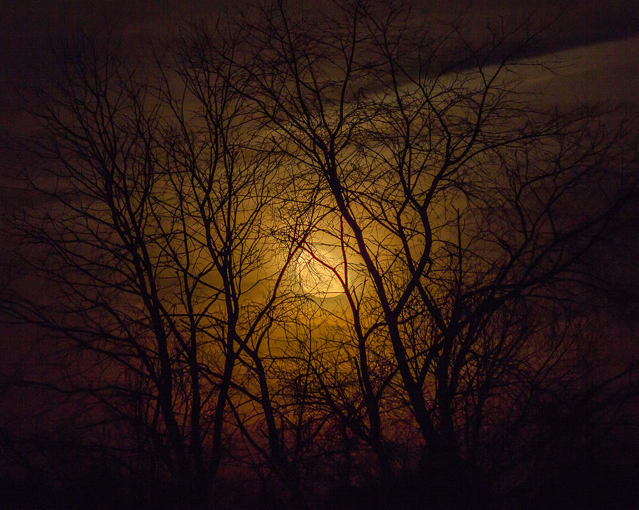 Spooky Moon Photograph by Tim Kirchoff