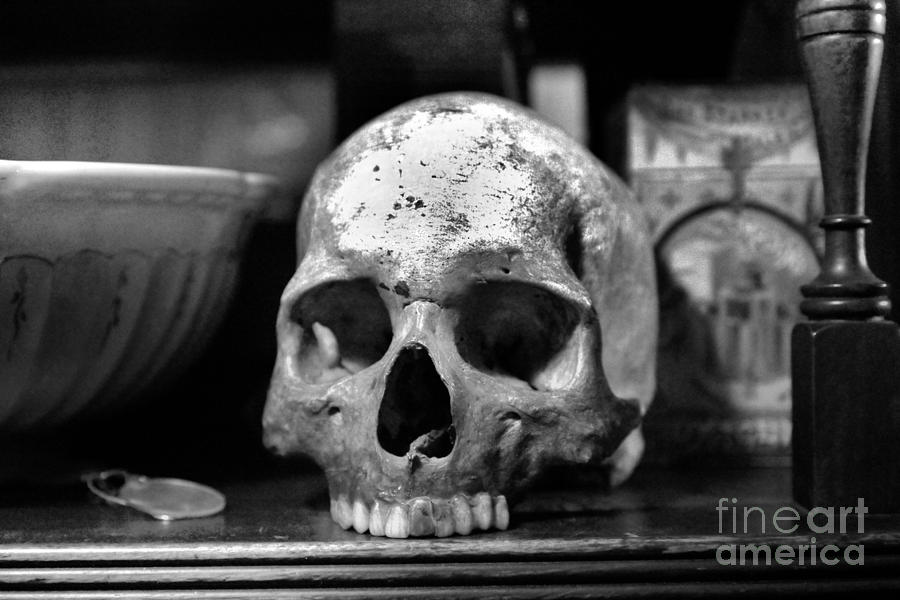 Spooky skull Photograph by Jeff Swan