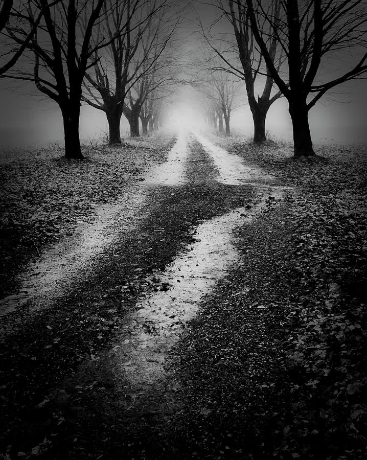 Spooky Way Photograph by Jeff Cooper