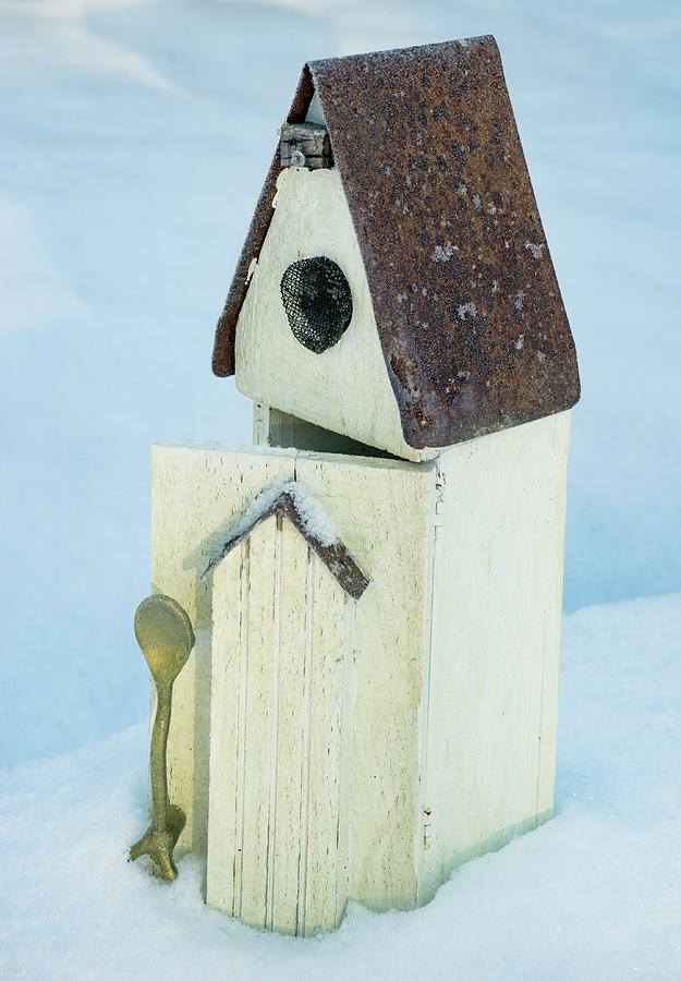 Spoon Birdhouse in Snow Photograph by Douglas Barnett