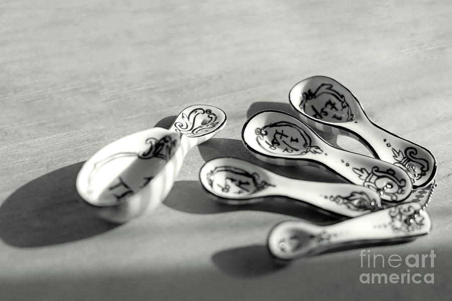 Spoon Family Photograph by Aiolos Greek Collections