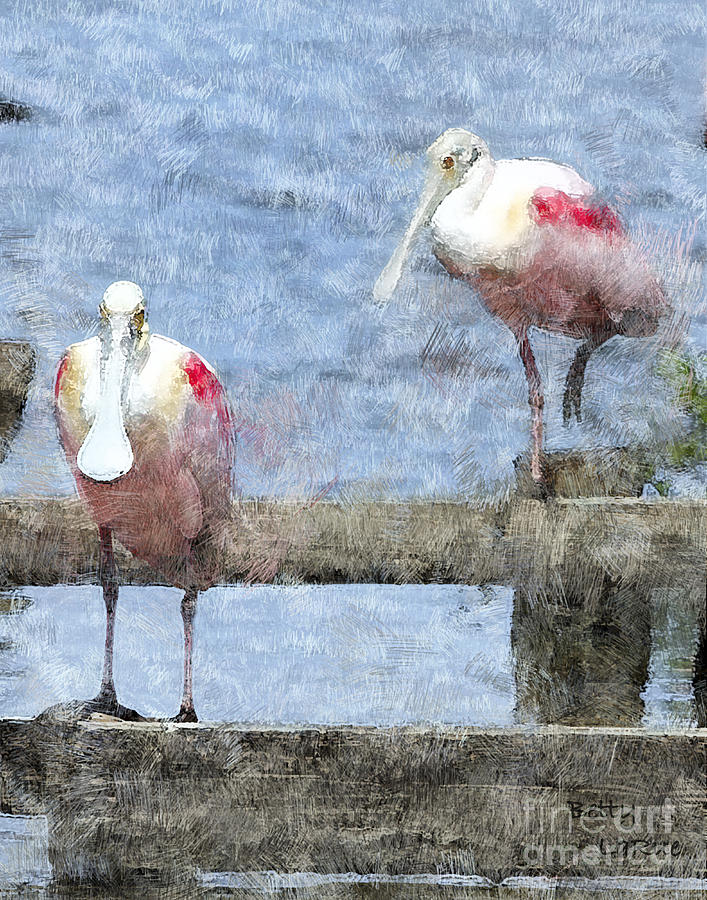 Spoonbills Hanging Out Photograph by Betty LaRue