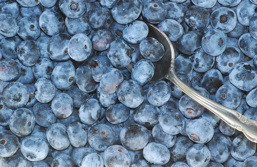 Blueberry Photograph - Spoonful by Melinda Schneider
