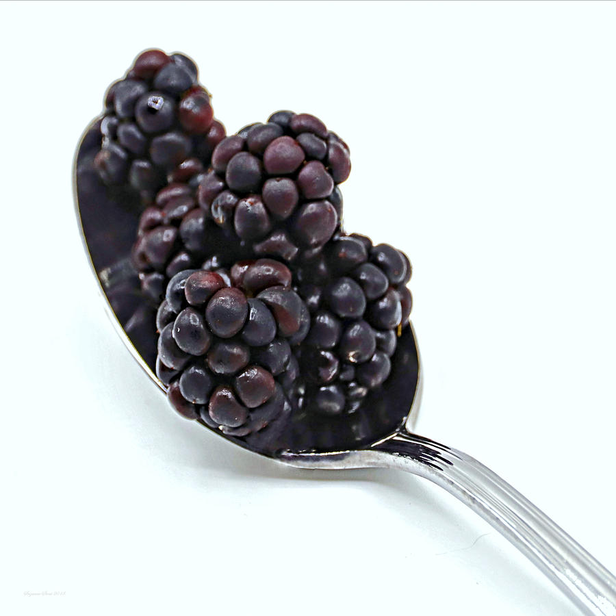 Spoonful of Blackberries Photograph by Suzanne Stout