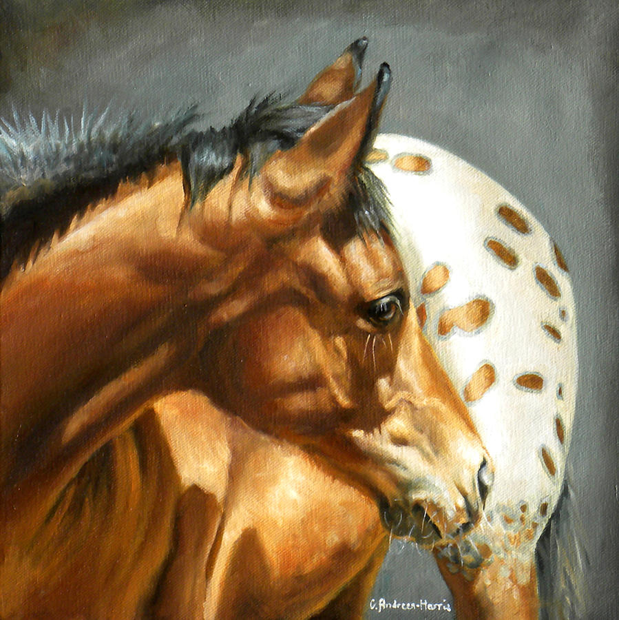 Appaloosa Painting - Spot On by Carole Andreen