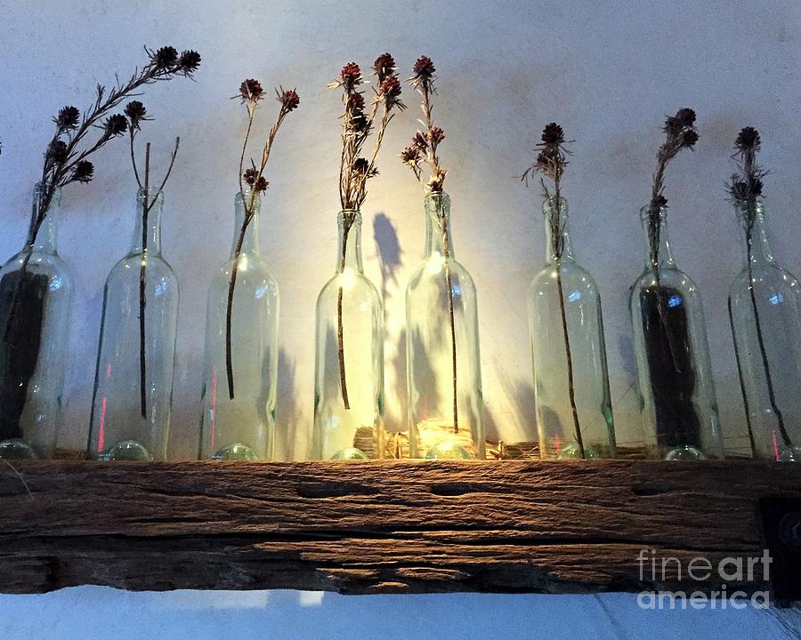 Spotlight on blooms dried and bottled Photograph by Barbie Corbett-Newmin