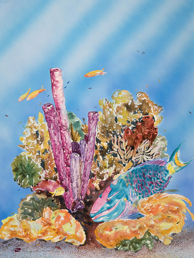 Spotlight Parrotfish Painting by Tanya L Haynes - Printscapes - Fine ...