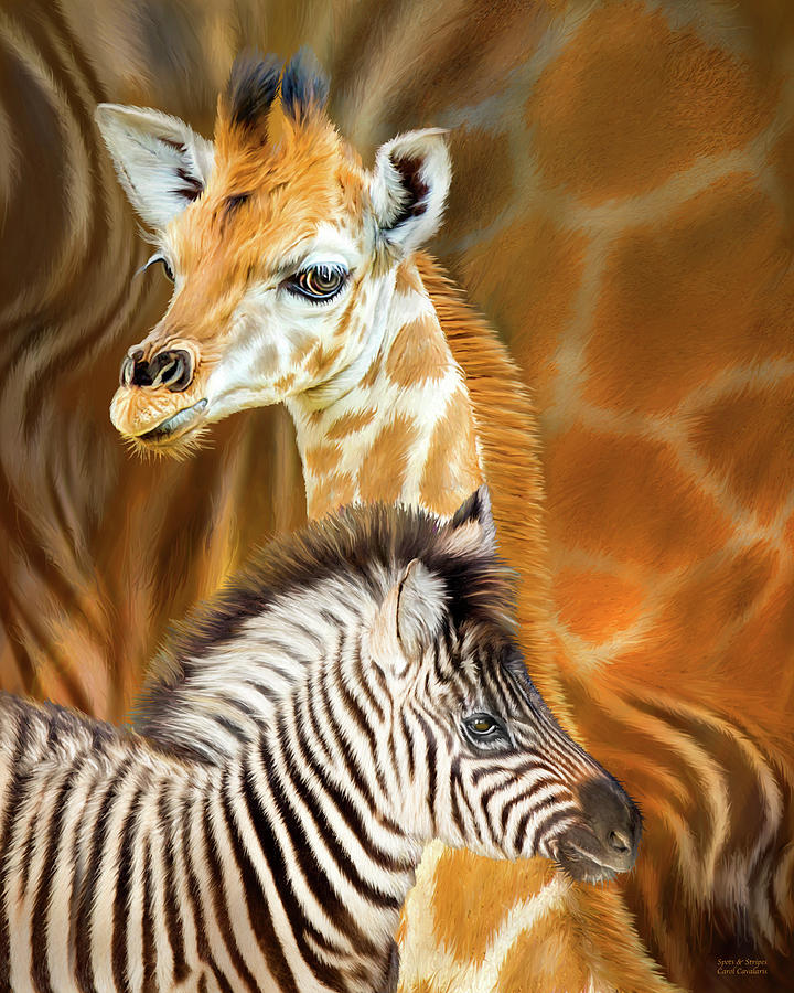 Spots And Stripes - Giraffe And Zebra Mixed Media by Carol Cavalaris