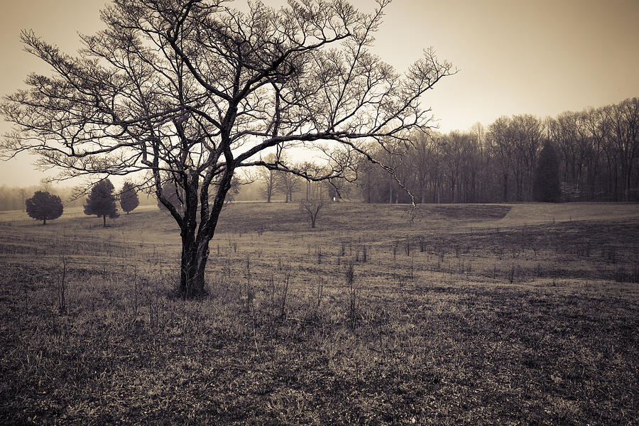 Civil War Photograph - Spotsylvania Battlefield by Harry H Hicklin
