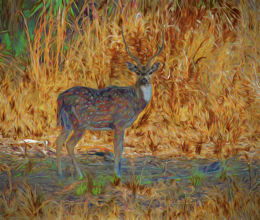 Spotted Deer, Artistic Conversion Photograph by Richard Goldman