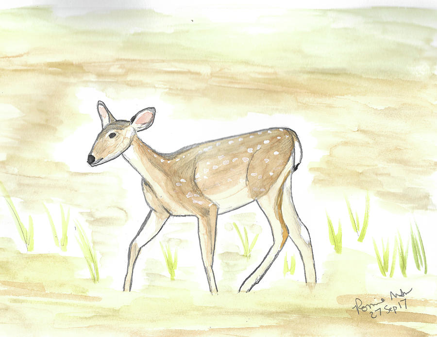 Spotted Fawn Mixed Media by Ronnie Maum
