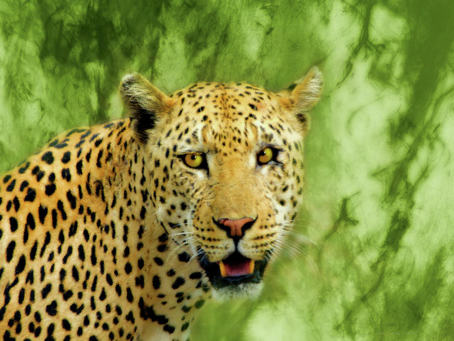 Wildlife Painting - Spotted Leopard by KaFra Art