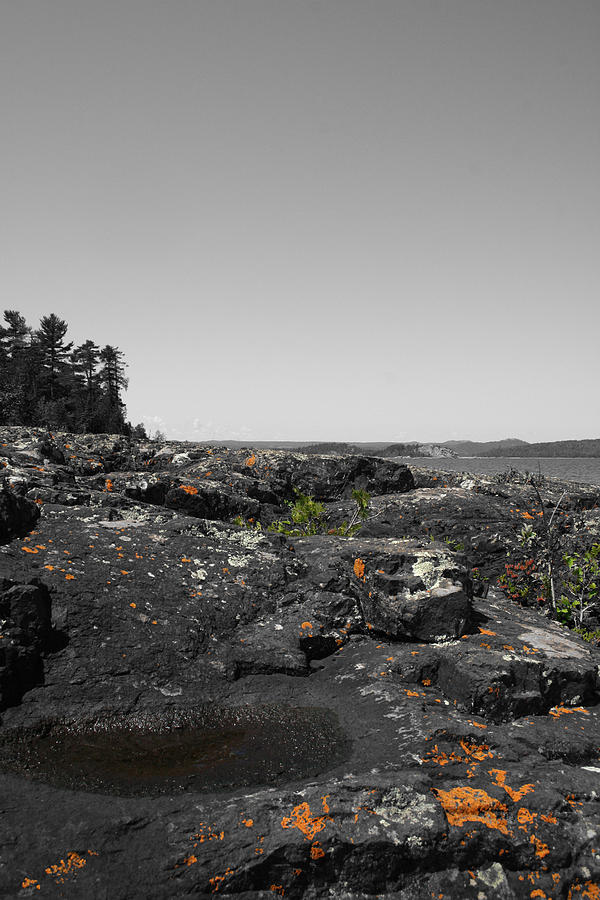 Spotted Rocks Photograph by Dylan Punke