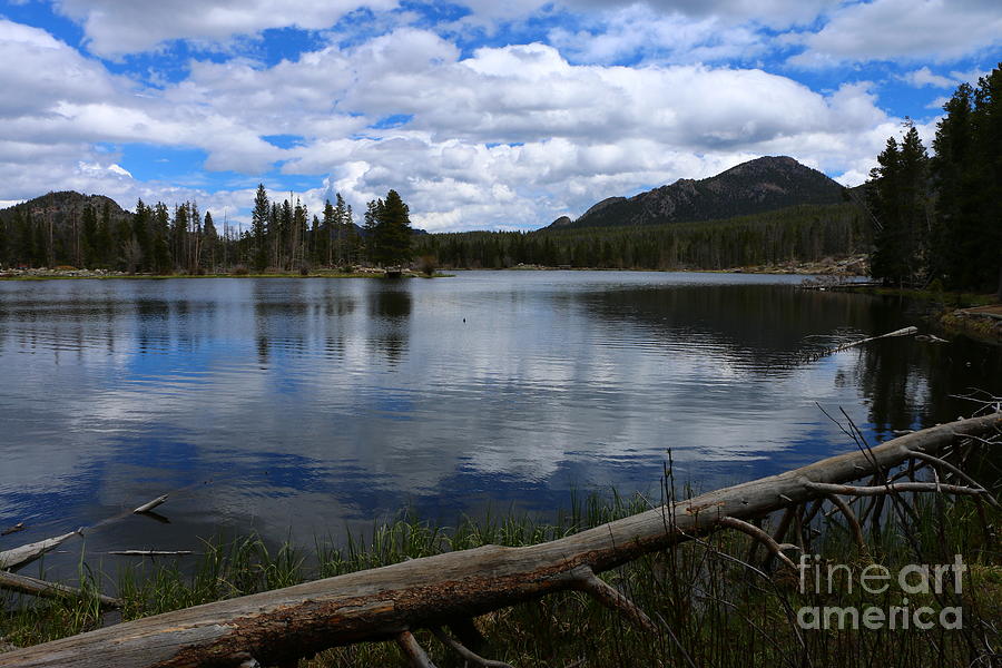 Sprague Lake Cloud Reflection Photograph by Christiane Schulze Art And Photography