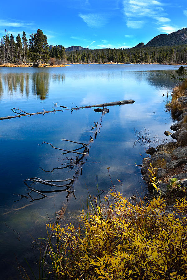 Sprague Lake RMNP Photograph by Ron Sweetin - Pixels