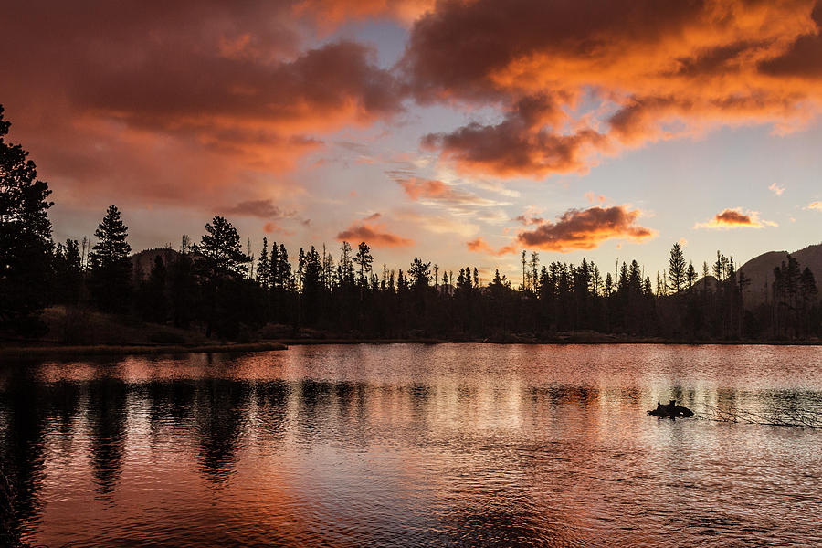 Sprague Lake Sunrise Photograph by Susan Bandy