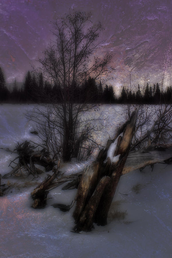 Sprague Lake Winter Dream Photograph by Ellen Heaverlo