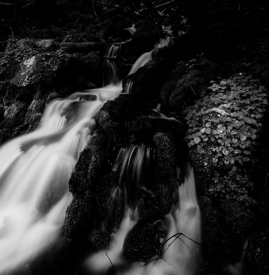 Spray Park Waterfall Black and White Photograph by Pelo Blanco Photo
