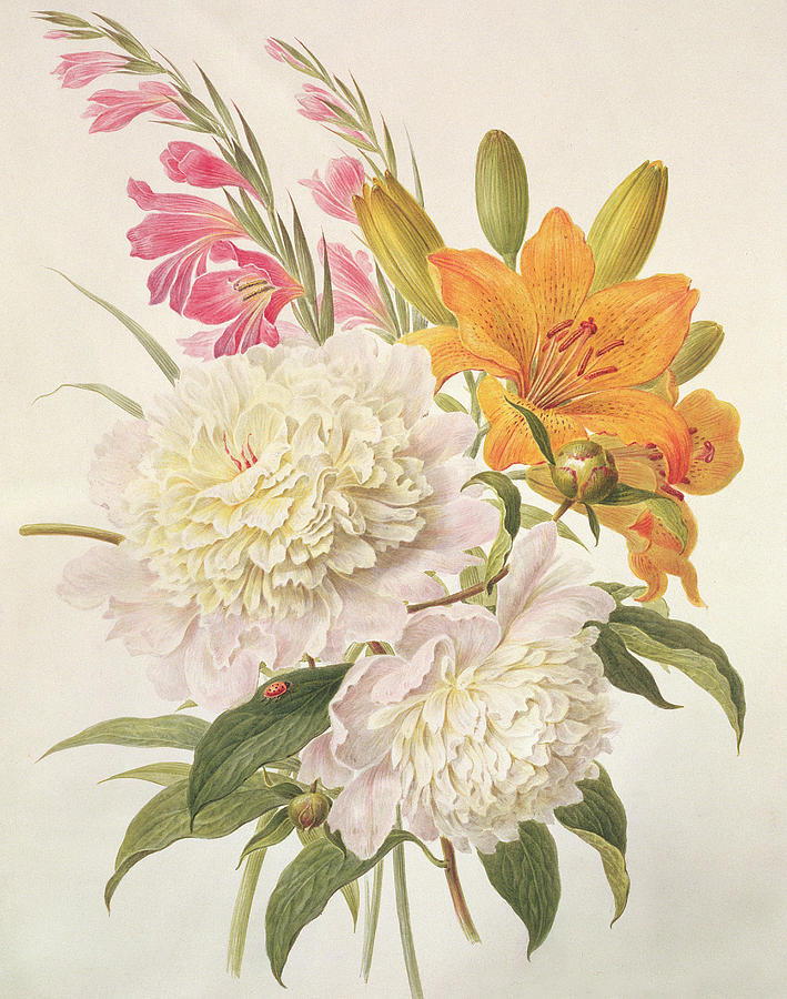 Flower Painting - Sprays of Gladioli and Peonies  by Henriette Gertruide Knip