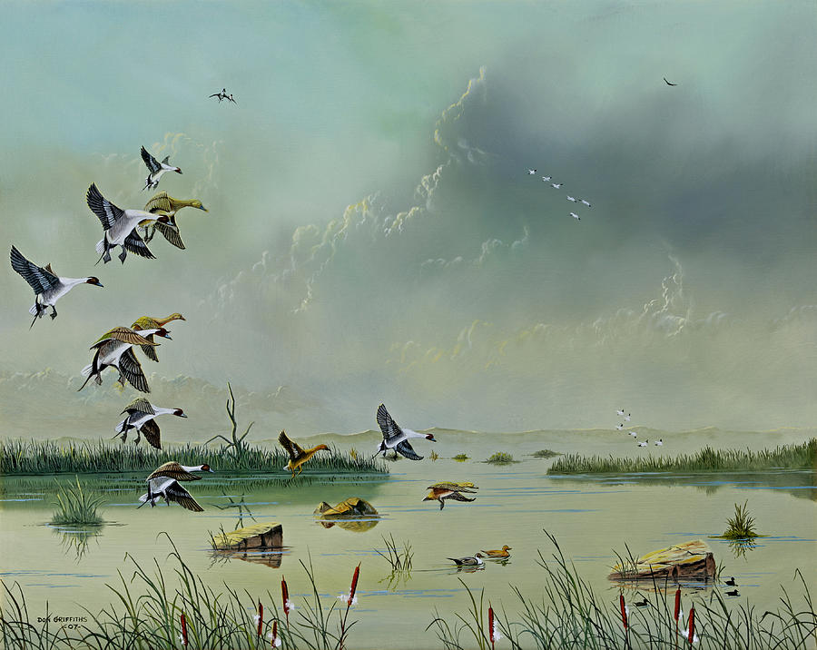 Wildlife Painting - Sprigs Settling In by Don Griffiths