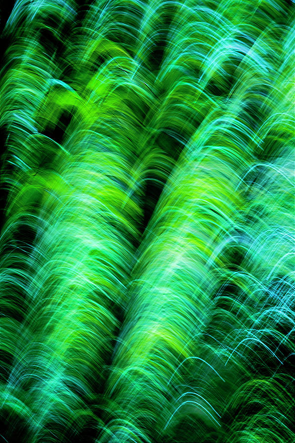 Spring Abstract Photograph by Maggie Mccall