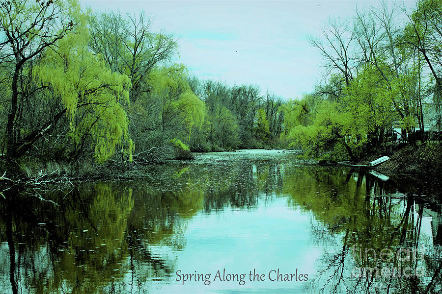 Spring ALong the Charles  Photograph by Rita Brown