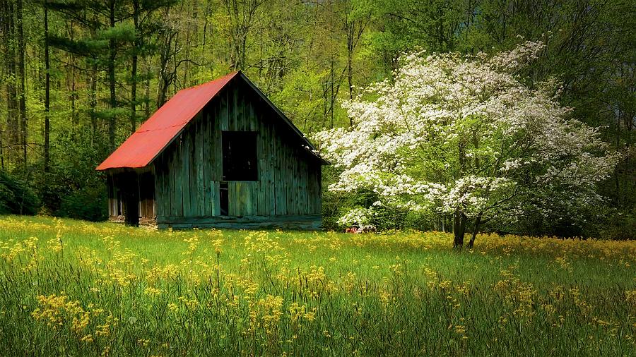 Blue Ridge Mountains Photograph - Spring and the Barn by Zayne Diamond Photographic Blue Ridge Mountains Photograph - Spring and the Barn by Zayne Diamond Photographic