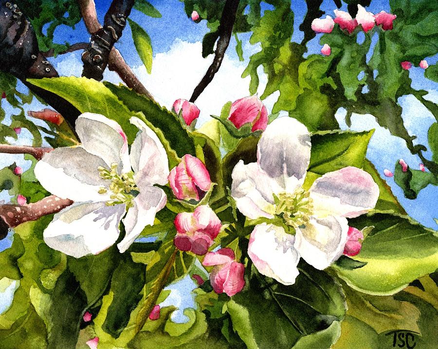 Spring Apple Blossoms Painting by Tammy Crawford