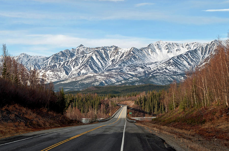 Spring Approaches - Alaska Highway Photograph by Cathy Mahnke