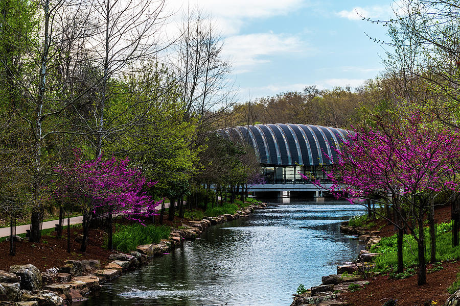 Spring At Crystal Bridges Photograph By Thomas Morrow