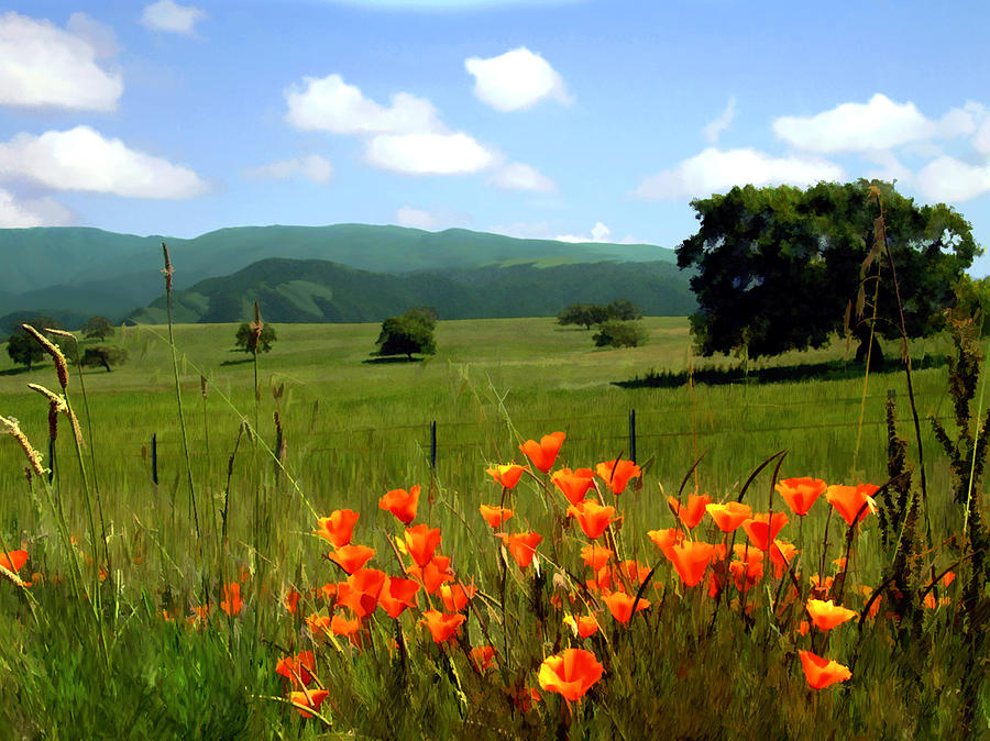 Spring at Gainey Ranch Photograph by Kurt Van Wagner