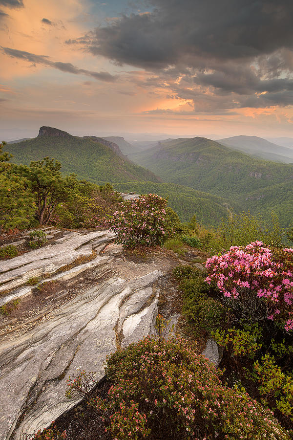 Linville Gorge Photograph - Spring at Hawksbill by Derek Thornton