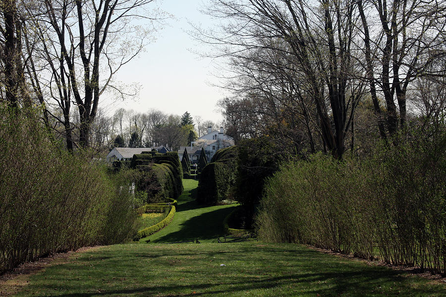 Spring at Ladew Topiary Gardens Photograph by Vadim Levin