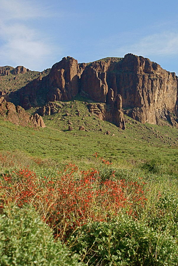 Spring At Lost Dutchman Photograph by Paul and Patricia Gutsch - Pixels