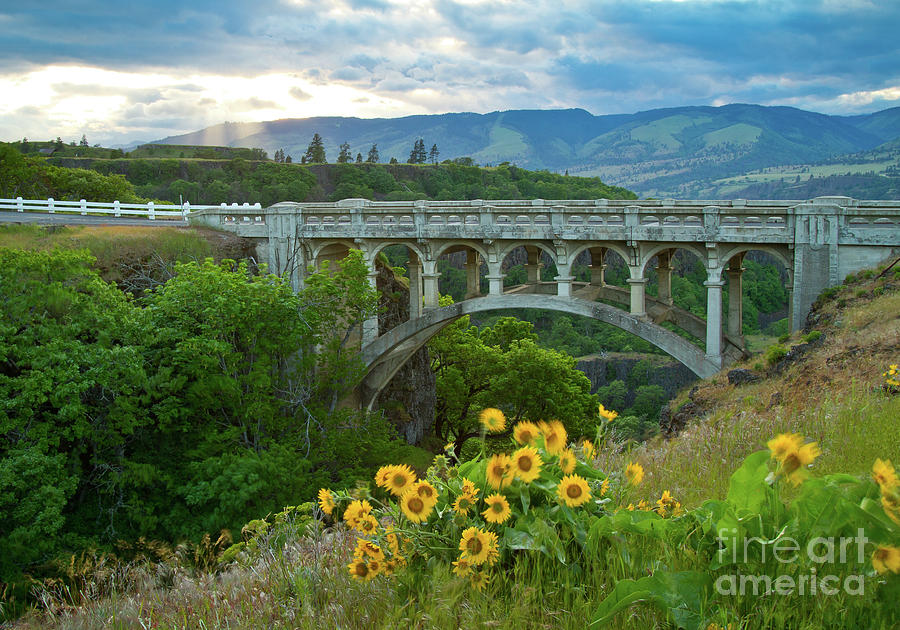 Spring at Rowena Dell Photograph by Idaho Scenic Images Linda Lantzy