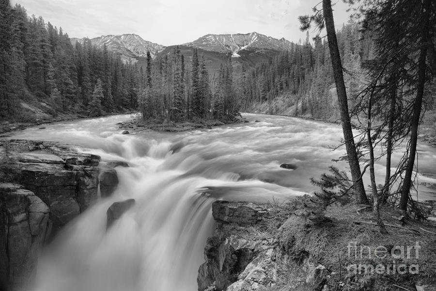 Spring At Sunwapta Falls Black And White Photograph by Adam Jewell