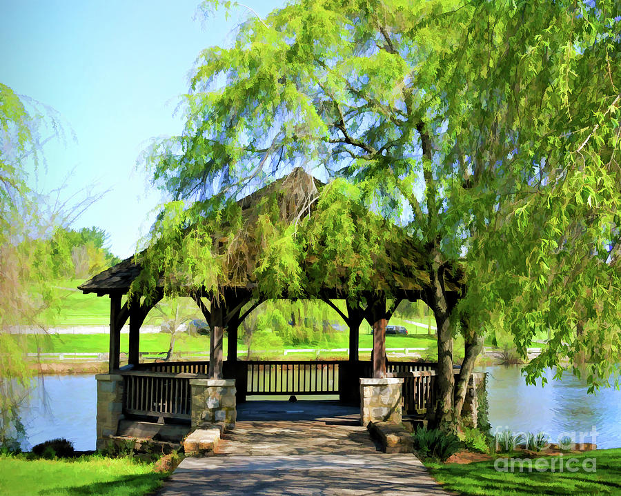 Spring At The Duck Pond Photograph