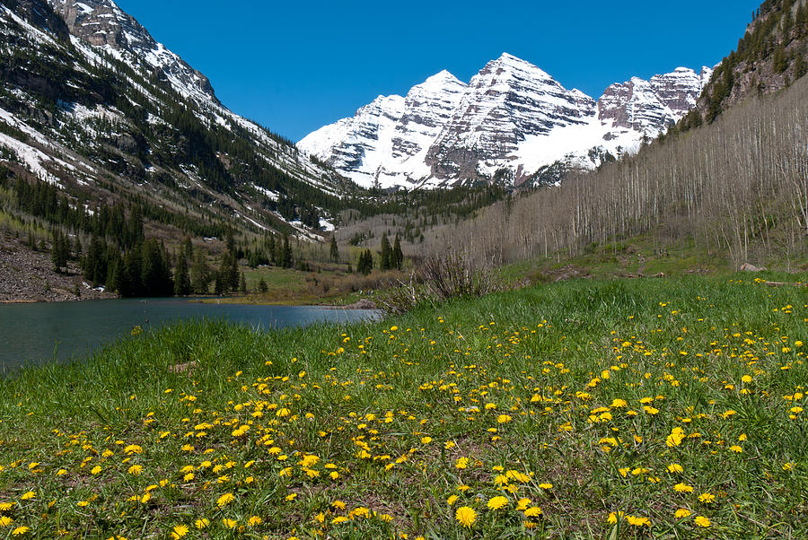 Spring at the Maroon Bells Photograph by Cascade Colors