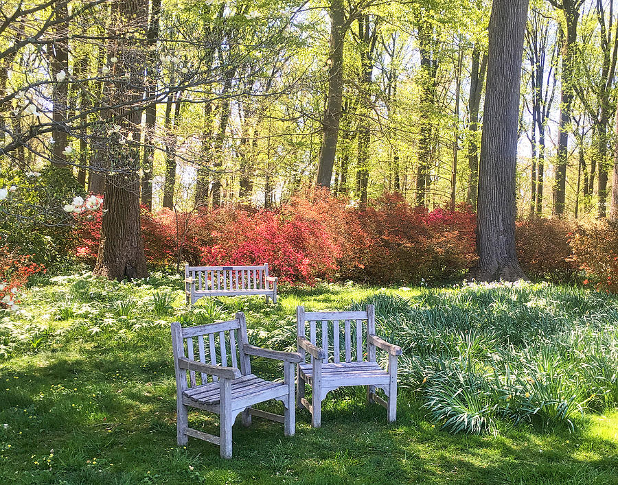Spring at Winterthur by Lois Johnson Spring at Winterthur by Lois Johnson