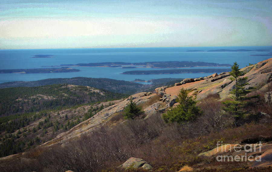 Spring Atop Cadillac Mountain Photograph by Skip Willits