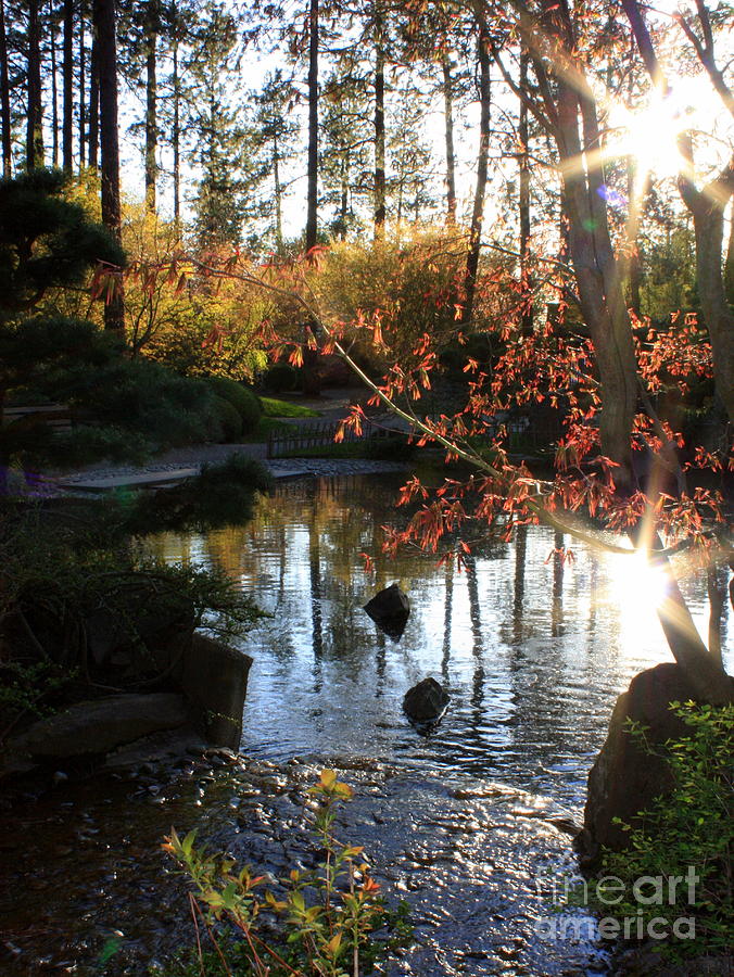 Spring Photograph - Spring Awakening in Japanese Garden by Carol Groenen