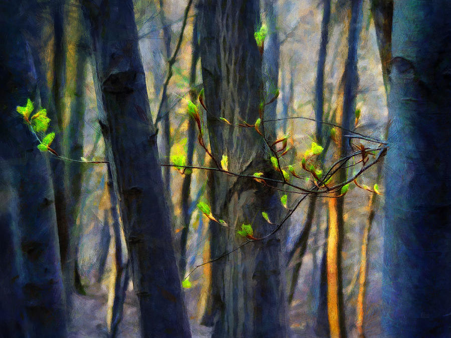 Spring Awakening in the Forest Painting by Menega Sabidussi