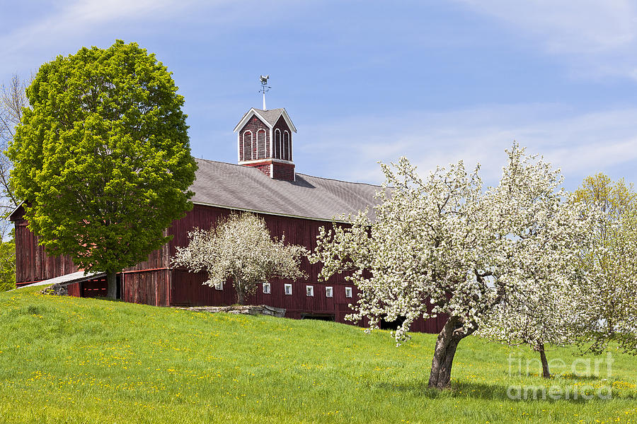 Spring Photograph - Spring Barn by Alan L Graham