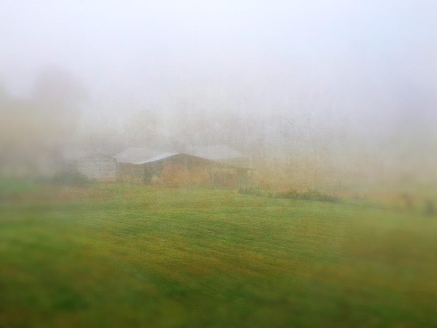 Spring Barn in Fog Photograph by Melissa D Johnston