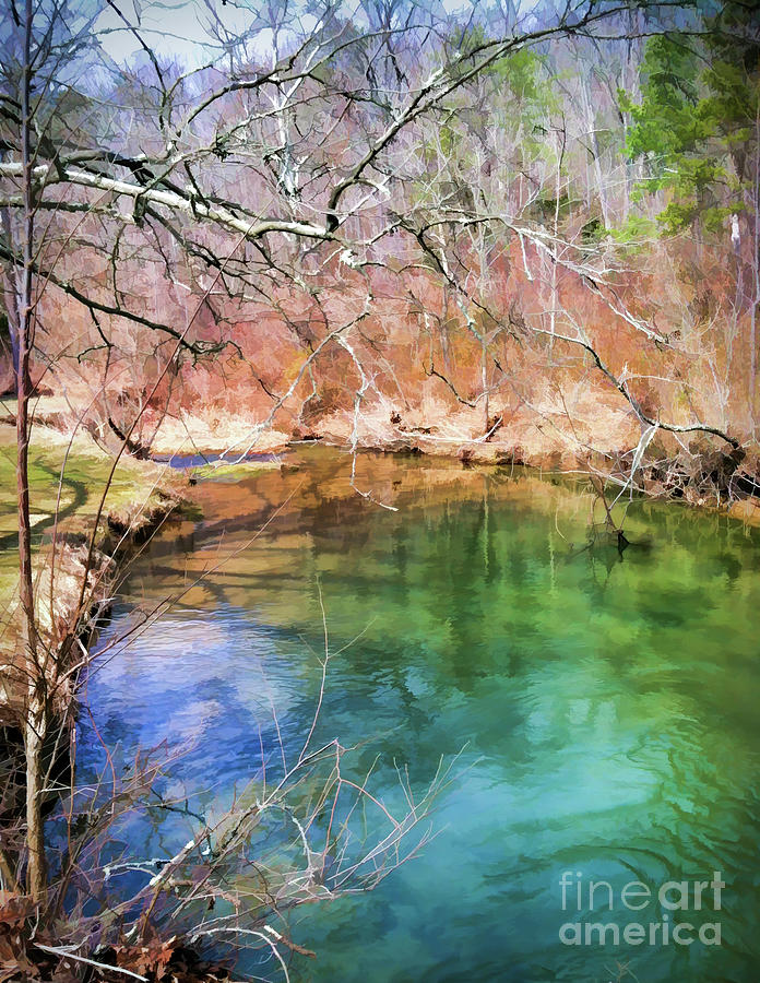 Spring Beginnings Along The Creek  Photograph by Kerri Farley