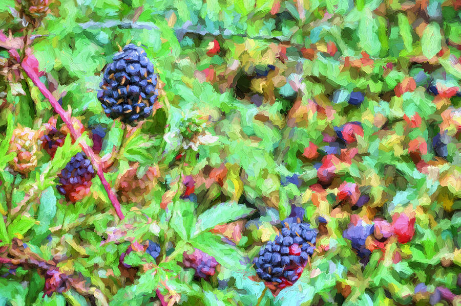 Spring Berries Photograph by JC Findley
